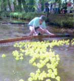 Duck race